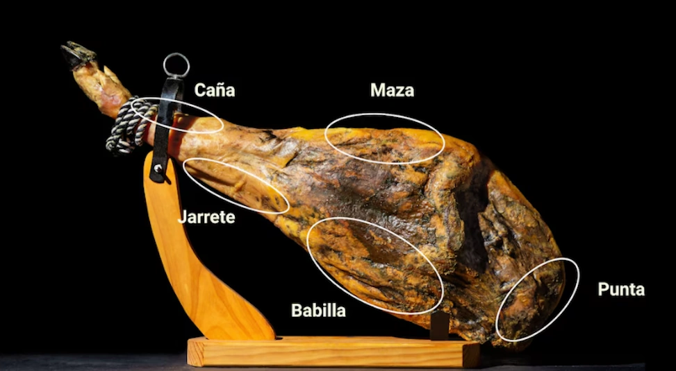 하몽의 주요 부위가 표시된 이미지, 마싸·바비야·푼타·하라·카냐·자레테 등의 위치가 구분되어 있음